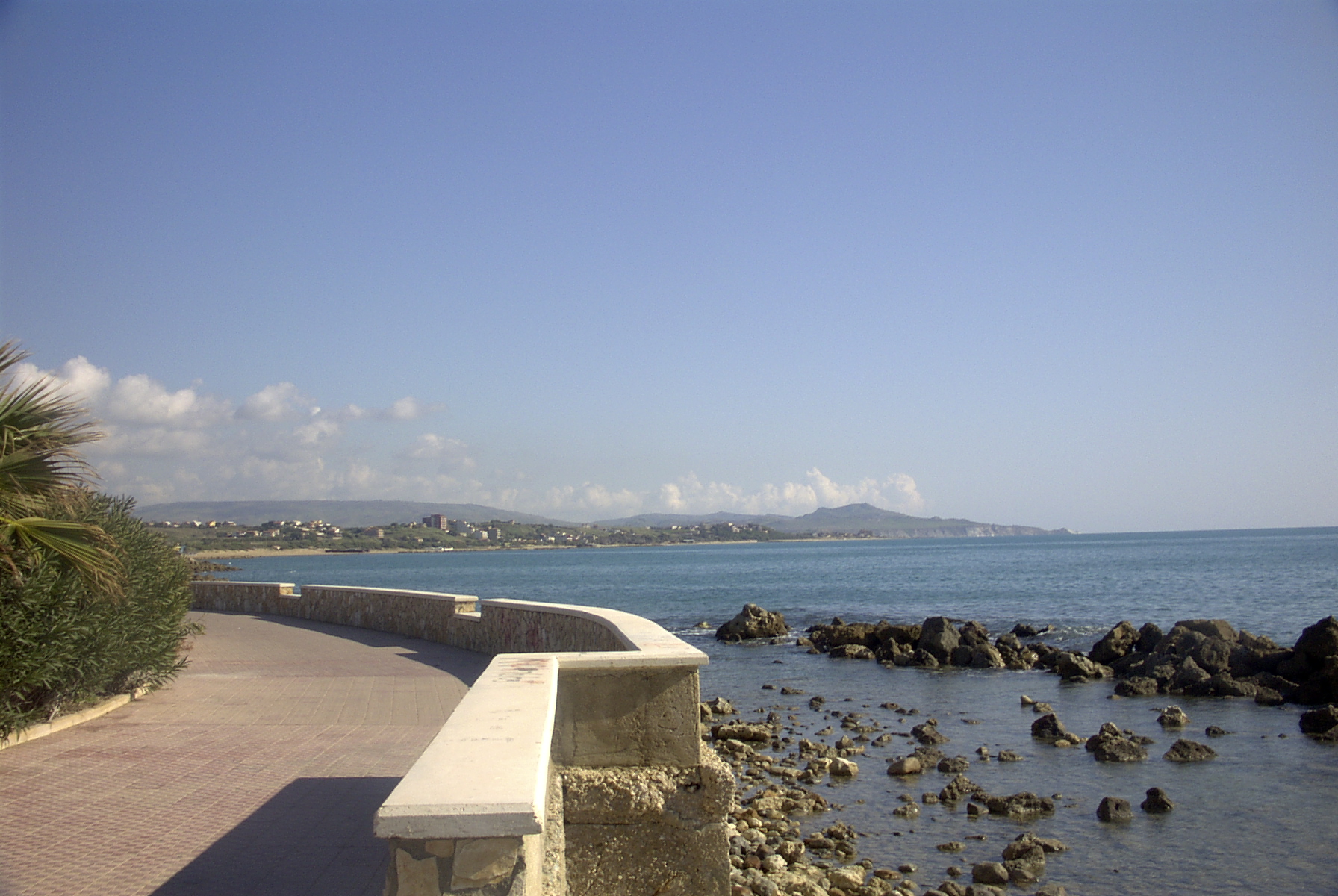IMO